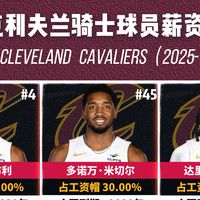 NBA克利夫兰骑士球员薪资排行榜（2025-26赛季）