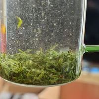 2026年洞庭碧螺春预售攻略