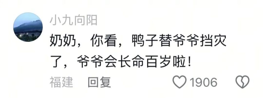 江苏一老太当街抱鸭痛哭,原是患癌老伴的“祈福鸭”意外死亡,邻居:每次化疗,老太问小鸭子老伴会不会好,它都会点头