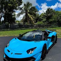 兰博基尼750SV与Singer 911：赛道性能旗舰 vs 手工复古艺术，持有成本与使用场景决定谁更值得入手