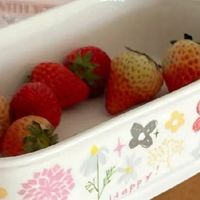 陶瓷饭盒来袭！2025新款可微波超实用！