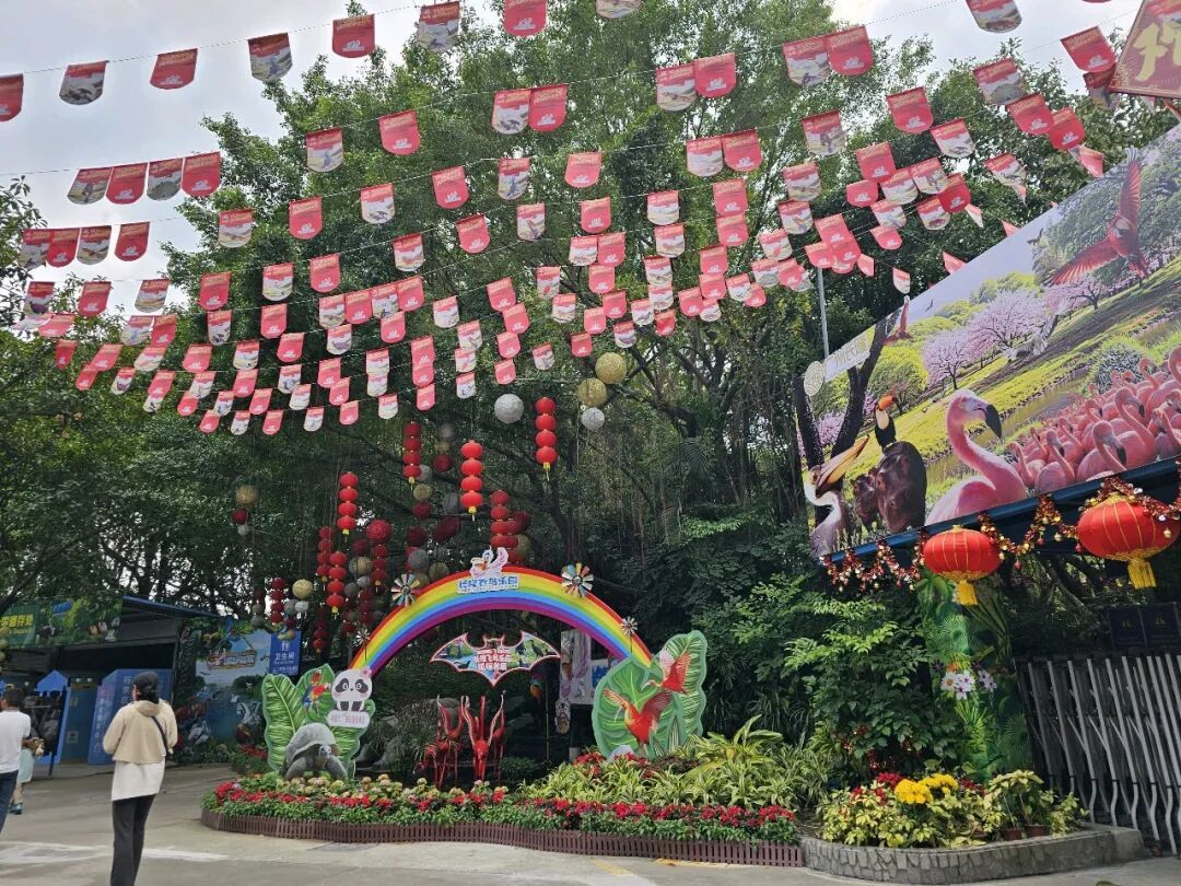 长隆百鸟飞歌+飞禽密码+马戏表演~春节行(十八)