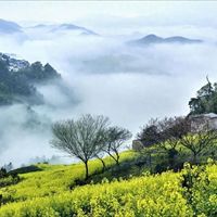 安徽春日花海秘境 | 探秘皖南800米梯田古村，打卡古徽州油菜花海（内附2日自驾游攻略）