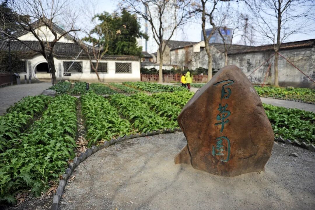 长大后,才发现鲁迅的文字是那么深刻