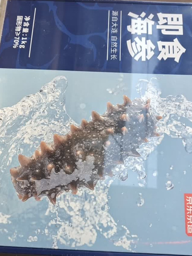 京东京造大连鲜食海参1kg礼盒