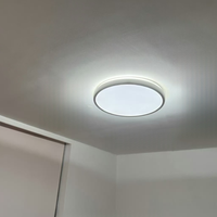 再次推荐吸顶灯，为什么会选百孜