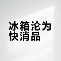 冰箱是什么时候从耐用商品变成了快消品