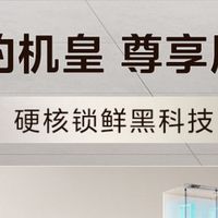 2026年冰箱推荐：性价比高的选购指南