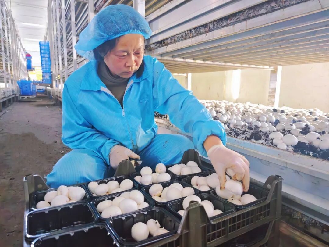 岁启新阳 春满山河