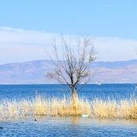 晨光、S 湾、稻田与古镇:藏在洱海边的治愈风景