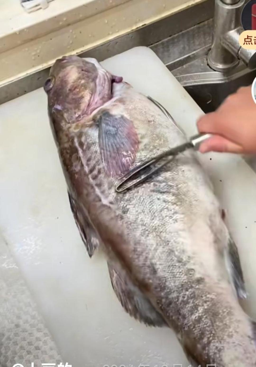 控糖午餐10分钟搞定 孩子都抢着吃