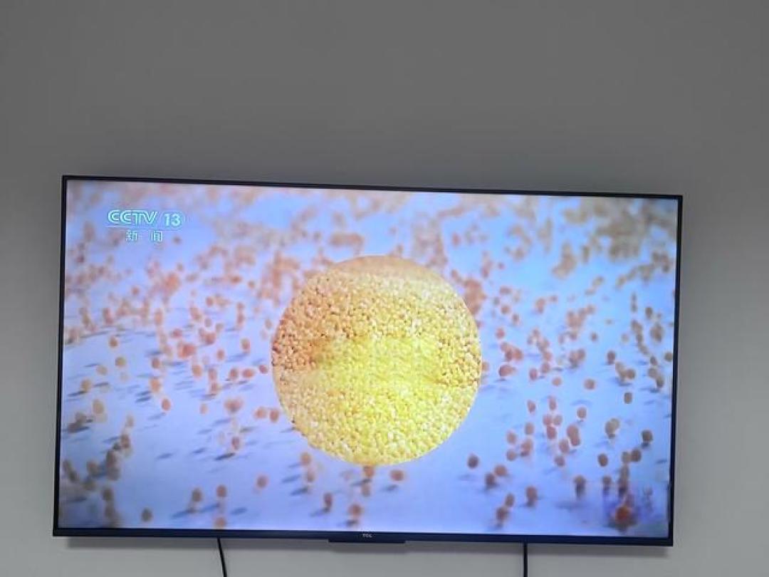 Q10M Pro电视是我家里的视觉升级,让生活细节都变得高级了