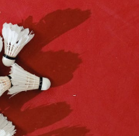 羽毛球集体降价是捡漏良机还是品质陷阱？1000+用户观点大碰撞