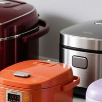 2026电饭锅哪个牌子质量好？年度十大高质量排名实测品质有保障！