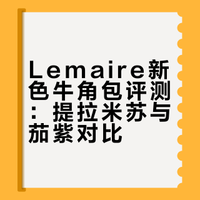 lemaire 26ss鬼打墙新色🍰提拉米苏色