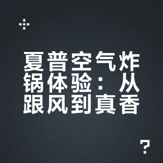 跟风买的网红空气炸锅！要退吗？