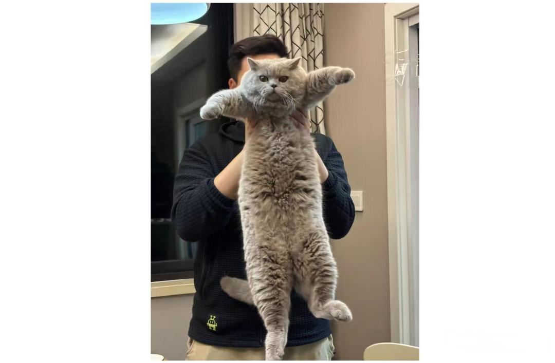 网传猫 11.8 斤等于人 200 斤，人猫体重换算是如何计算的？可不可靠？