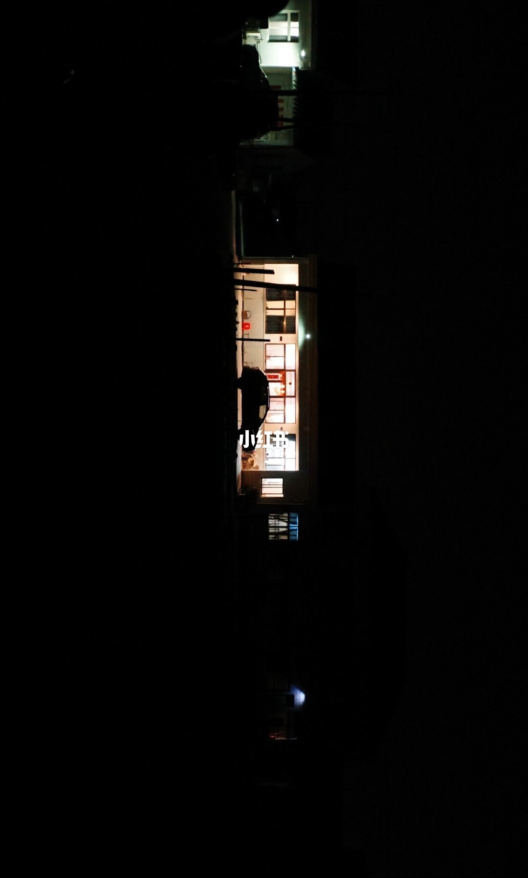 离职后,随身携带GR4