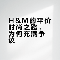 瑞典SVT纪录片推荐 H&M Dynastin