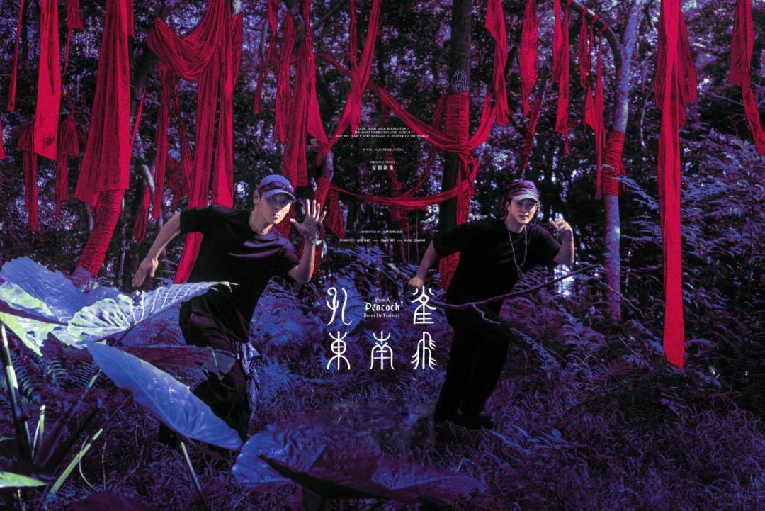 辛爽秦昊汤唯蒋奇明刘琳《孔雀东南飞》杀青