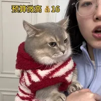 养一只小猫一个月到底要花多少钱 #萌宠出道计划  #创作者扶持计划 #万物可爱计划 #江小傲猫粮