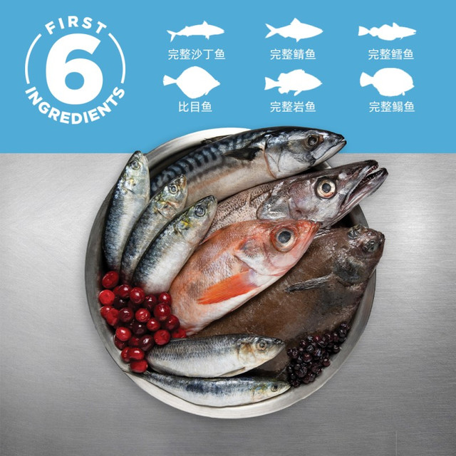 大家还是少喂点贵价猫粮吧。。