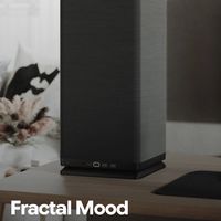 Fractal Mood 塔式机箱