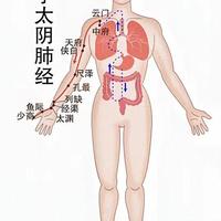 每天按一按，肺肠通畅少生病：中医里的两个健康“开关”