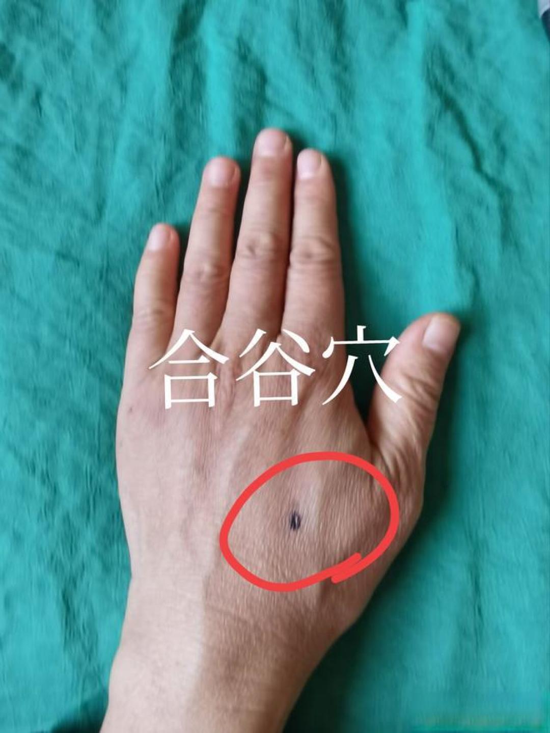 每天按一按,肺肠通畅少生病:中医里的两个健康“开关”