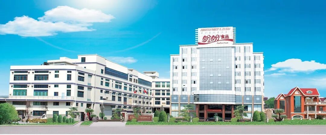 福建晋江当年的高中生,靠一包薯片逆袭!从卖银耳到年入80多亿,如今斩获“大国食匠”称号