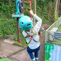 深圳遛娃新选择：不卡身高的丛林探险乐园