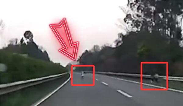 高速开车遇小孩突然横穿 司机回应：还有3个小孩 他们像在玩游戏