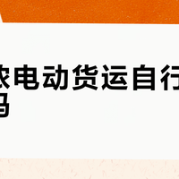 迪卡侬电动货运自行车值得买吗？用户观点大PK