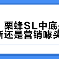 361°栗蜂SL中底是技术革新还是营销噱头？1000+用户观点大PK