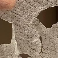 日间防护夜间修护护肤流程