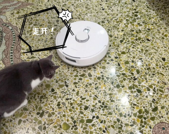 云鲸扫拖一体机