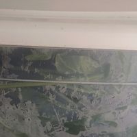 换季收纳秘籍，让家“焕新”有术