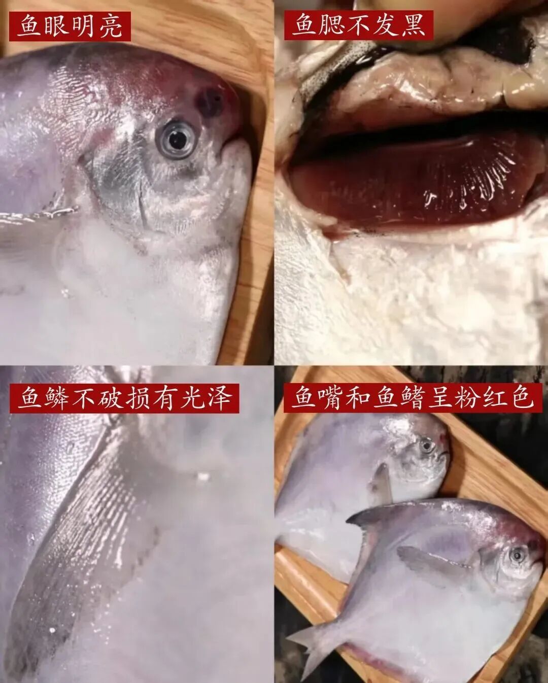 开春就馋这一口！细嫩肉肥高蛋白，换种烧法鲜到爆表！