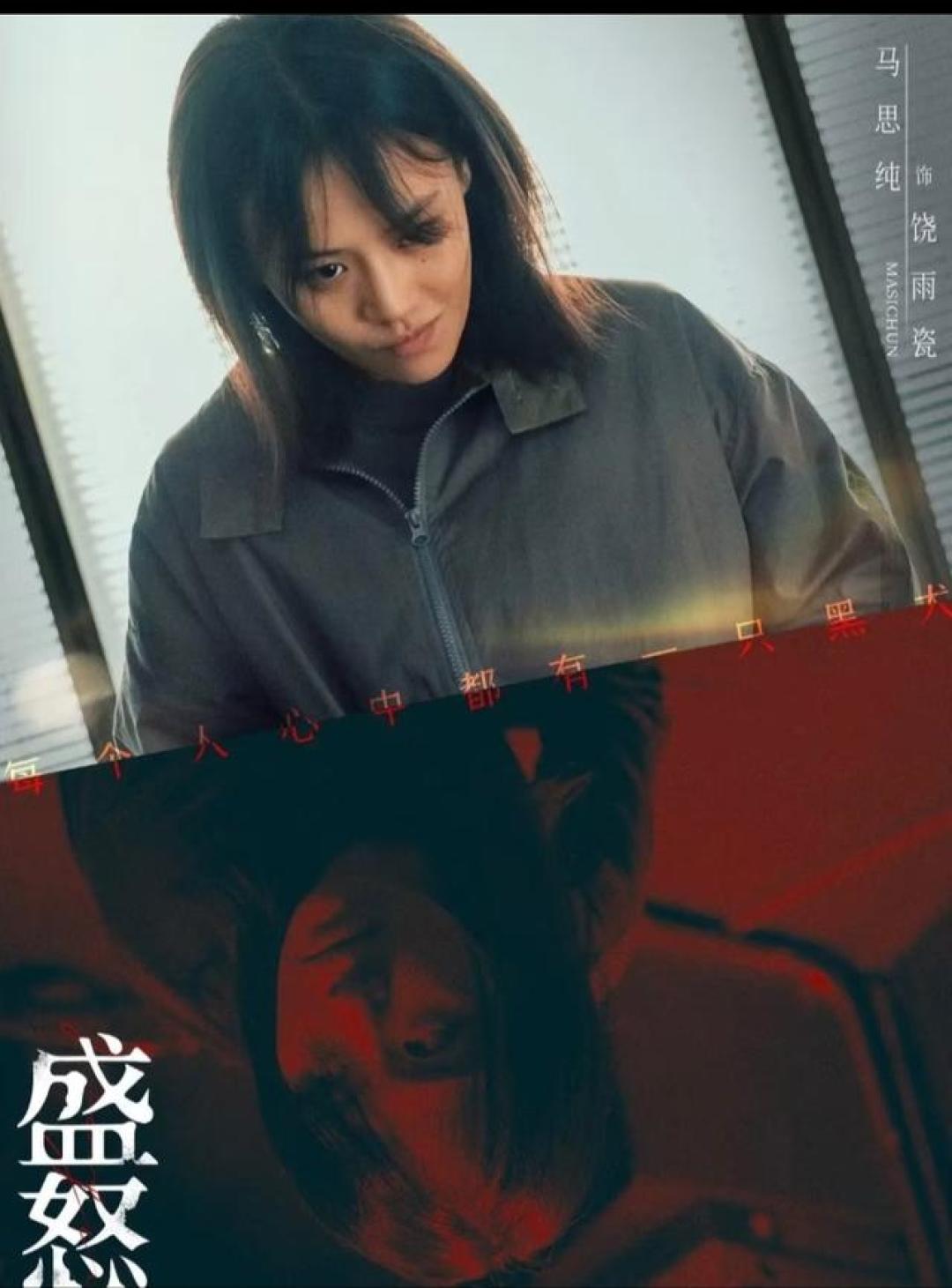 这两部悬疑剧王炸来袭《斗贼》《盛怒》全解析 烧脑反转越看越上头