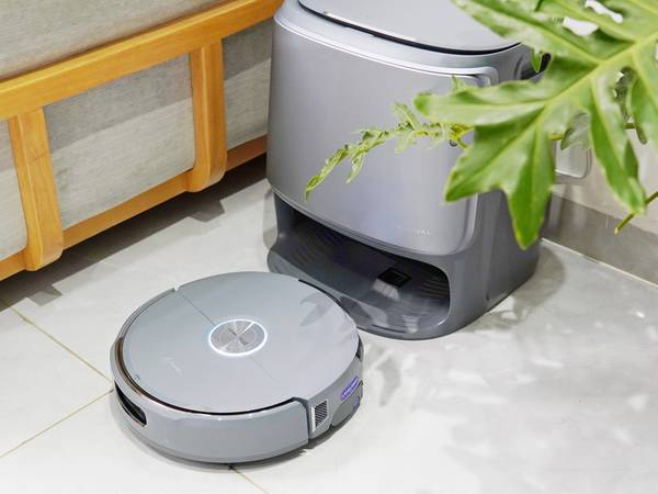 我和云鲸的故事：从初遇到十年相伴的成长历程