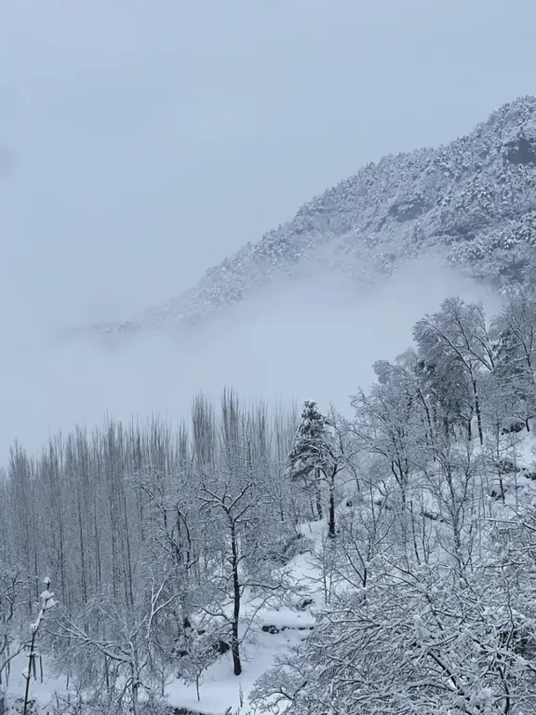 ❄️南太行雪季封神live|穿越暴雪1日精华环线