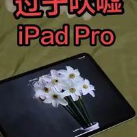 不要过度迷恋m5 iPad Pro #ipad平板电脑 #ipadpro2025 #ipad平板电脑