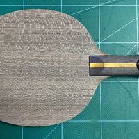 一百七十七、红双喜DHStN301（裤衩柄）tFL