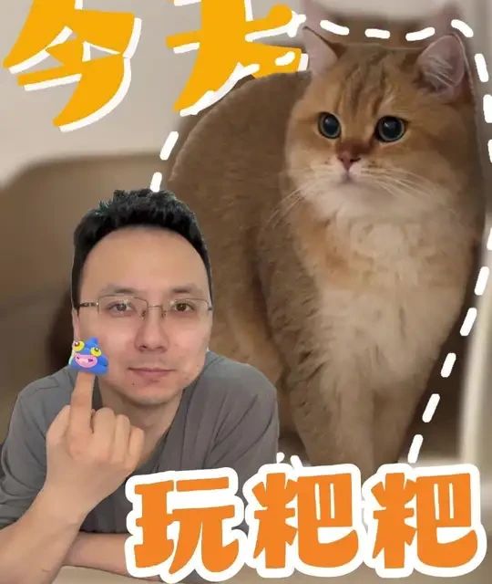 今天玩儿粑粑🤔 小猫粑粑不同状态鉴别#新手养猫#养猫经验分享#万物可爱计划#宝贝年味企划
