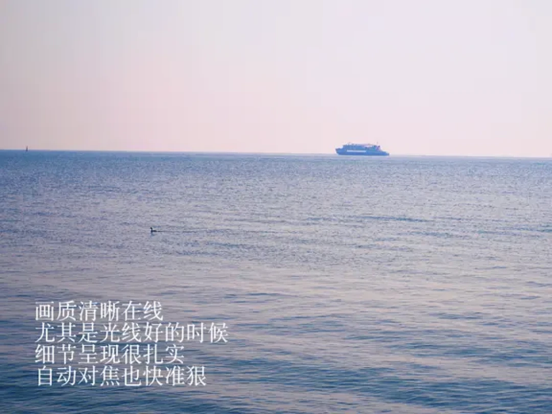 🤔奥林巴斯40-150镜头到底值不值得入手❓