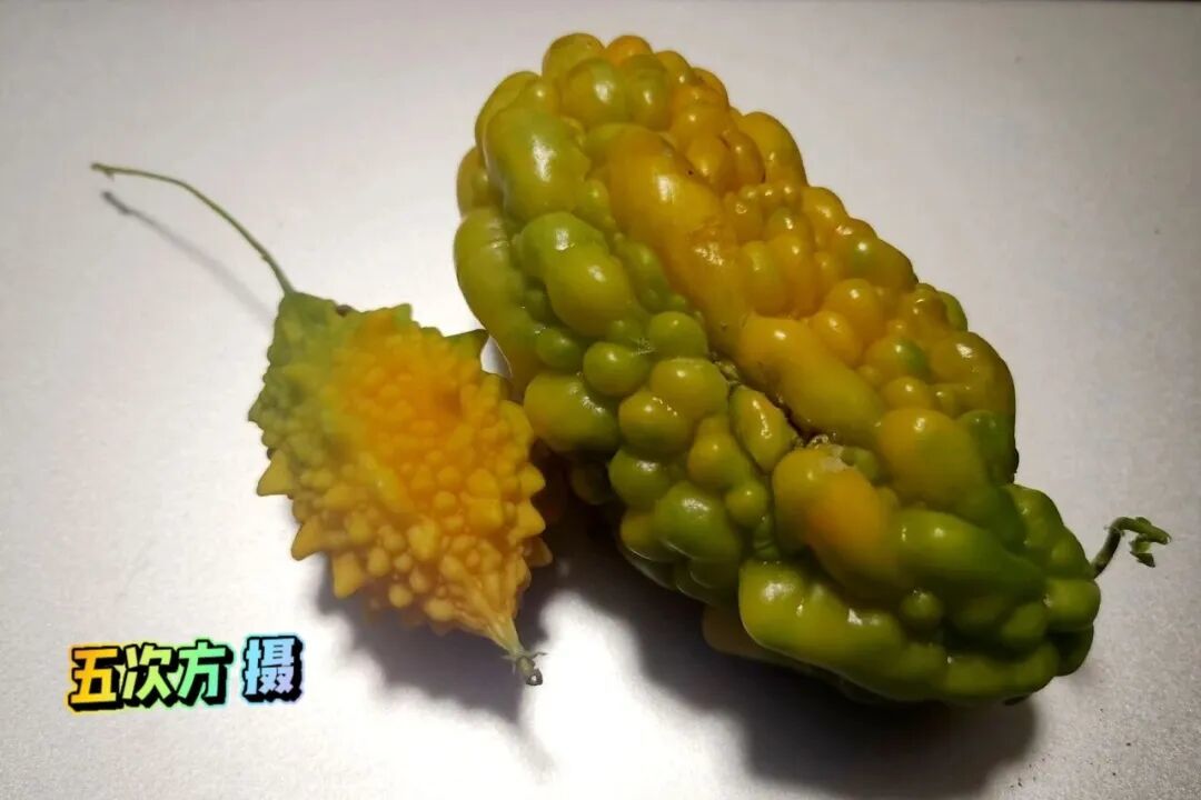 没错,元宵就是汤圆,菠萝等于凤梨!