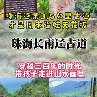 珠海长南迳古道3.8公里亲子徒步，青石板路穿行于溪流古树间。孩子可玩水赏花，大人放松身心，全程轻松怡人。#珠海最美景点 #游玩攻略 #户外登山  #亲子户外#户外拍摄