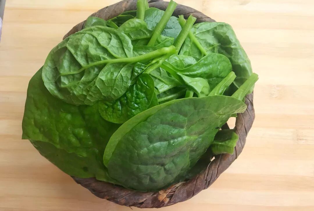 【素食斋谱】这7种素菜价值堪比黄金!营养丰富好处多多!