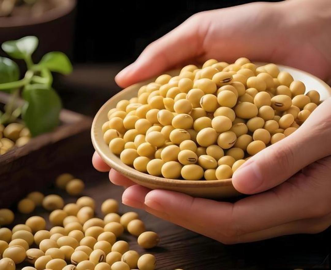 民以食为天,粮以土为根!中华五谷杂粮全解,吃懂三餐里的智慧~