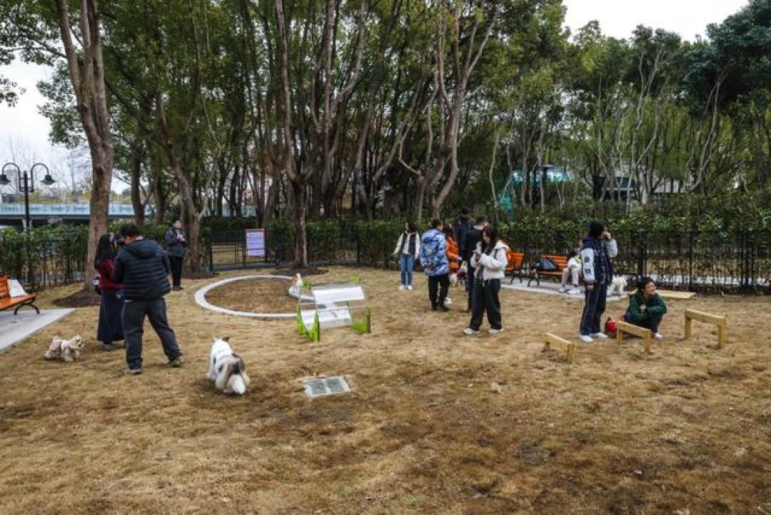 “毛孩子”也有自己的游乐场!世纪公园宠物乐园将于3月8日正式对公众开放